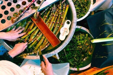 冷凍塩漬けイタドリ 250g × 5袋 セット 高知県産 いたどり イタドリ