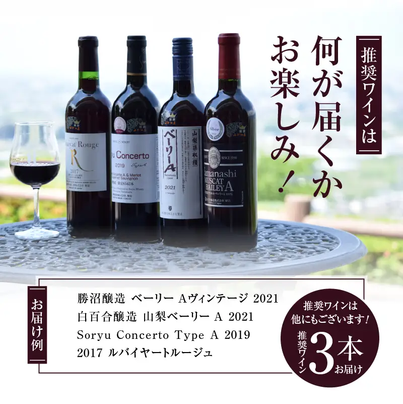 ワイン 勝沼ぶどうの丘推奨赤ワイン3本+タートヴァン（KBO）D-616