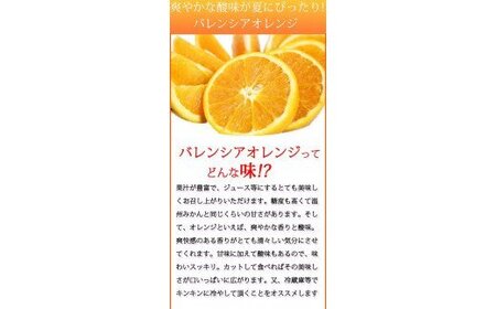 秀品 希少な国産バレンシアオレンジ 2.5kg【2026年6月下旬頃～7月上旬頃に順次発送】【UT75】【uot809】