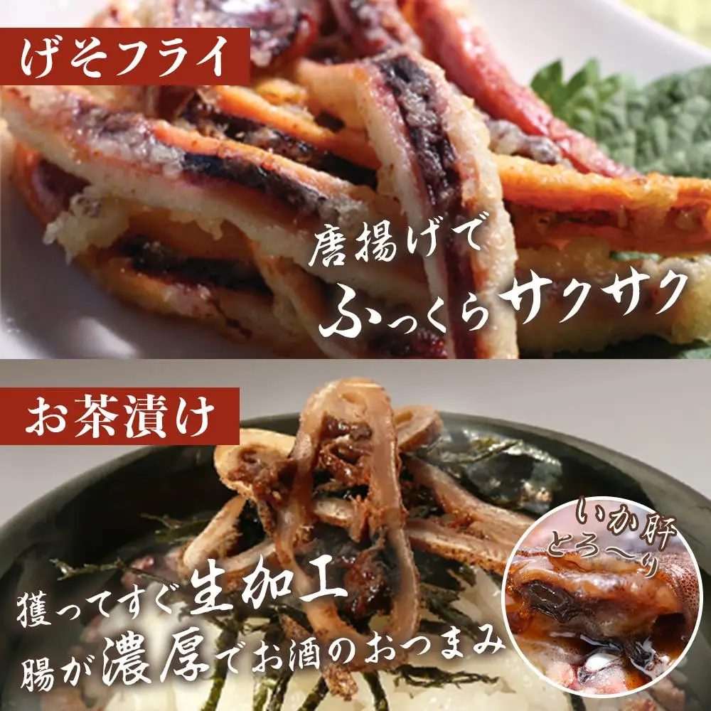 干物 イカ 佐渡沖産 3種 イカづくしセット1