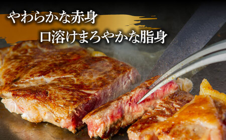 【やわらかな赤身と口どけまろやかな脂身】長崎和牛 サーロインステーキ 400g 2人前 （200g×2枚）/ 南島原市 / ふるさと企画 [SBA031] ステーキ すてーき サーロイン さーろいん サーロインステーキ さーろいんすてーき 和牛 わぎゅう 焼肉 焼き肉 BBQ バーベキュー 牛肉 ぎゅうにく 20000 20000円 2万円