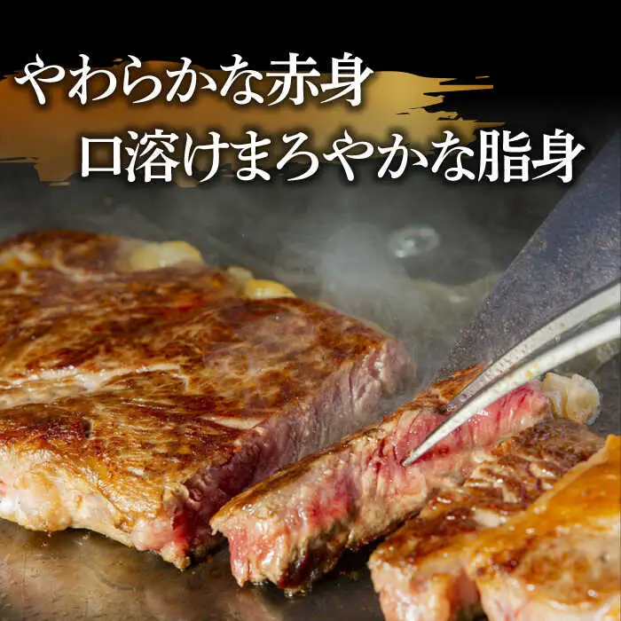 【6回定期便】【やわらかな赤身と口どけまろやかな脂身】長崎和牛 サーロインステーキ 400g 2人前（200g×2枚）/ 牛肉 ステーキ 長崎産 サーロイン / 南島原市 / ふるさと企画 [SBA033] ステーキ すてーき サーロイン さーろいん サーロインステーキ さーろいんすてーき 和牛 わぎゅう 焼肉 焼き肉 BBQ バーベキュー 牛肉 ぎゅうにく 120000 120000円 12万円