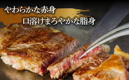 【12回定期便】【やわらかな赤身と口どけまろやかな脂身】長崎和牛 サーロインステーキ 400g 2人前（200g×2枚）/ 牛肉 ステーキ サーロイン / 南島原市 / ふるさと企画 [SBA034] ステーキ すてーき サーロイン さーろいん サーロインステーキ さーろいんすてーき 和牛 わぎゅう 焼肉 焼き肉 BBQ バーベキュー 牛肉 ぎゅうにく 240000 240000円 24万円
