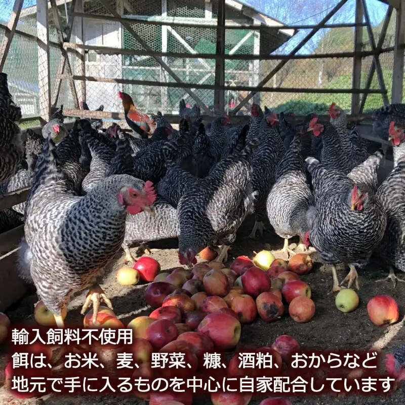 ふぁーむbuffoの平飼いたまご 30個_FA090_001