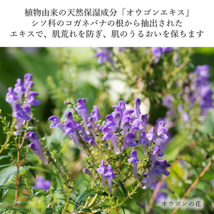 スキンケア 弱酸性 ソープ 繊細肌を穏やかに洗う アンチトピー 全身用 ソープ泡 本体＆詰替 セット