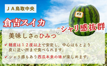 【倉吉産】倉吉スイカ 1玉（3Lサイズ）JA鳥取中央 スイカ 糖度12度以上