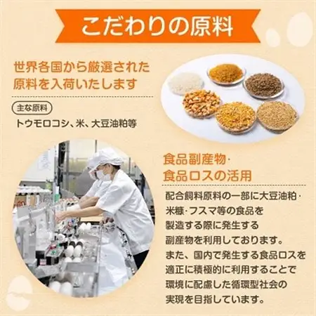 与那原町産の新鮮な卵160個(白卵)【配送不可地域：離島】【1408730】