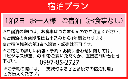 ビジネス 伊宝 1泊2日 お一人様宿泊券(素泊まり) お食事なし 徳之島 天城町 宿