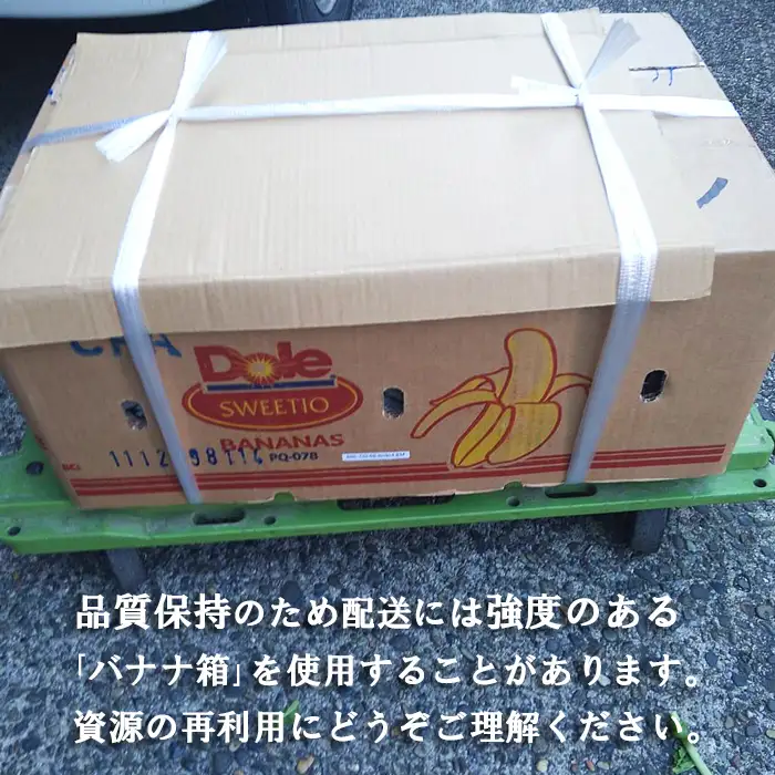 【1日限定5セット】南房総-鴨川の朝採れ野菜セット [0014-0027]