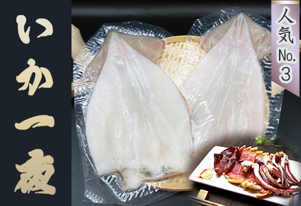 【極味のひもの】特選！人気ひもの詰合せ 大ぶり３種＋いか一夜干し２枚 [0015-0071]