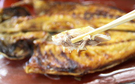 【極味のひもの】脂の乗った『とろさば・とろあじ』干物 各３枚　[0017-0029]
