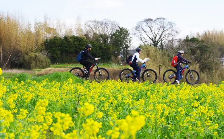 【かもちゃり＋】里山・里海RIDE『E-MTB（マウンテンバイク）』４時間レンタル利用券（大人１名）／《千葉県鴨川市》レンタサイクル 電動アシスト自転車 サイクリング 自転車レンタル サイクリング体験 観光体験 [ウェルネスポーツ鴨川][0011-0083]