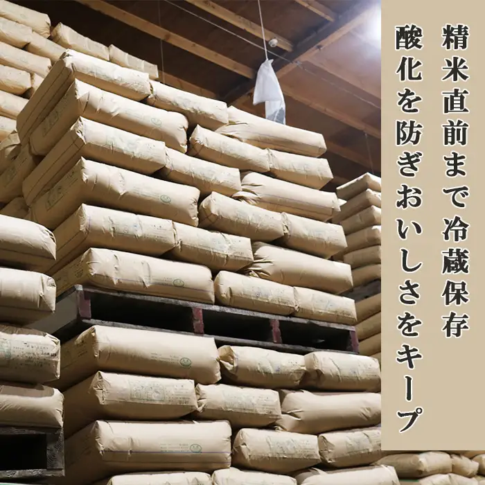《令和７年産》【米屋新蔵】お米ソムリエ特選 千葉県産『ふさこがね』10kg　[0026-0008]