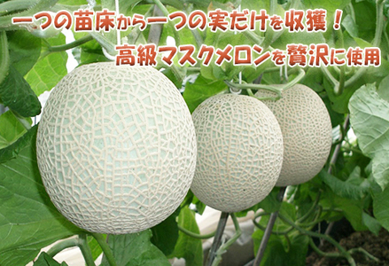 【贅沢メロンをひと口で】千葉アクアメロン フルーツ大福 12個（4個入3箱）／マスクメロン 個包装 冷凍 スイーツ 和菓子　[高橋メロン農園][0010-0243]