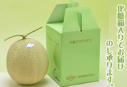 【ご贈答に！】高級マスクメロン『千葉アクアメロン』Ｌ玉以上 × ３個　[0033-0011]