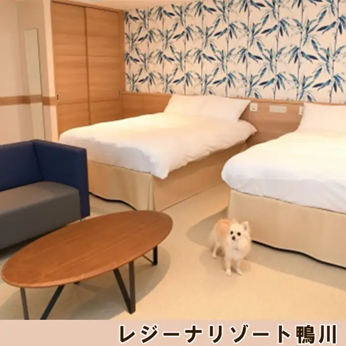【亀田クリニック Dock&Dog】アドバンストプラン　１名様（平日限定１泊２食付） 　[0647-0001]