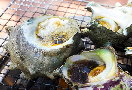 【漁協直送！】房州黒潮育ち『天然 活サザエ』1.5kg以上（8～12個）　《期間限定》《数量限定》《配送日指定OK》《配送指定 令和8年5月末日まで》さざえ 栄螺 刺身 活魚 [ウオポート][0017-0028] [0017-0028]