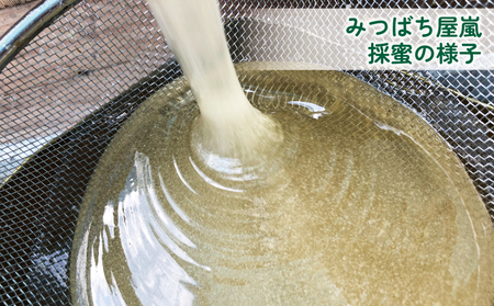 みかん蜂蜜 嵐 の はちみつ 天然 100％ 河内晩柑 みつばち屋嵐 非加熱 蜂蜜 F015-129003