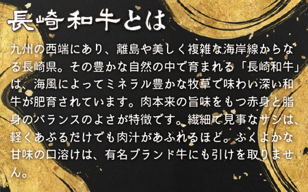 長崎和牛 A5等級 シャトーブリアン (120g×4枚) シャトーブリアン【田中精肉店】