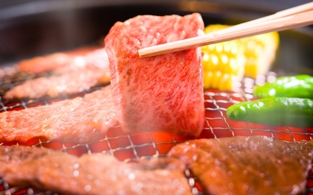 【月3×6回 計18回発送】肉の横綱　伊賀牛まるごと食べ尽くし【cook-tkb0004】