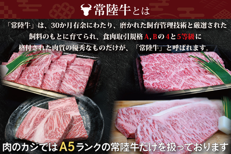 【常陸牛・ローズポークステーキ焼肉セット(5~7人前)】 常陸牛 サーロインステーキ 約600g(300g×2枚) ローズポーク焼肉用 約400g (ロース200g ばら200g) ( 茨城県共通返礼品・茨城県産 ) ブランド牛 茨城 国産 黒毛和牛 霜降り 厚切り 牛肉 ブランド豚 豚肉 冷凍 ステーキ 焼肉_CY038