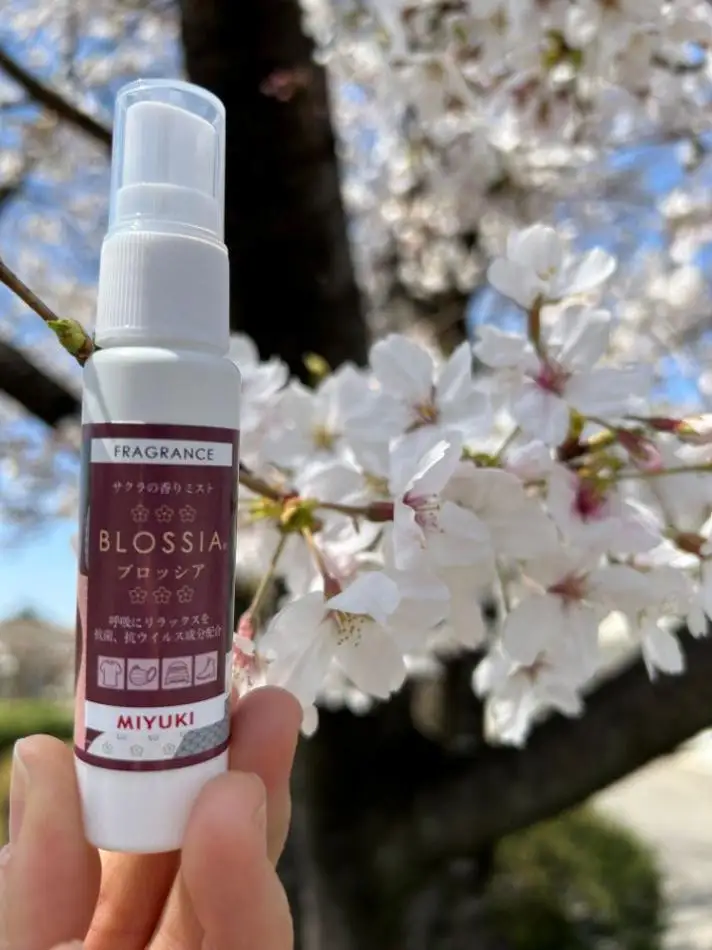 さくらの香りミスト『BLOSSIA』（フレグランススプレー）2本セット