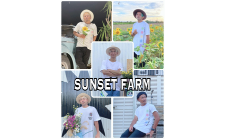 【SUNSET FARM OKINAWA】オーガニックバタフライピー(10g入り)✕3袋