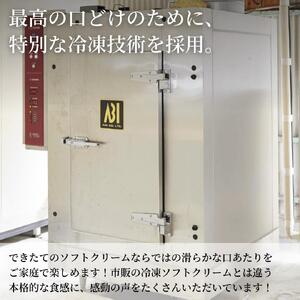 アイスクリーム 抹茶 9個 アイス ソフトクリーム 藤枝抹茶