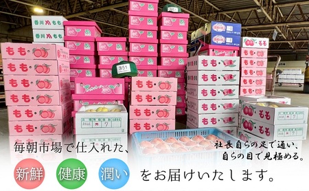 【2026年6月下旬より順次発送】特秀品！桃　約2kg（6～8玉） 果物 フルーツ デザート 食後 国産 日本産 産地直送 ジューシー 果汁たっぷり 夏の果物 夏のフルーツ 