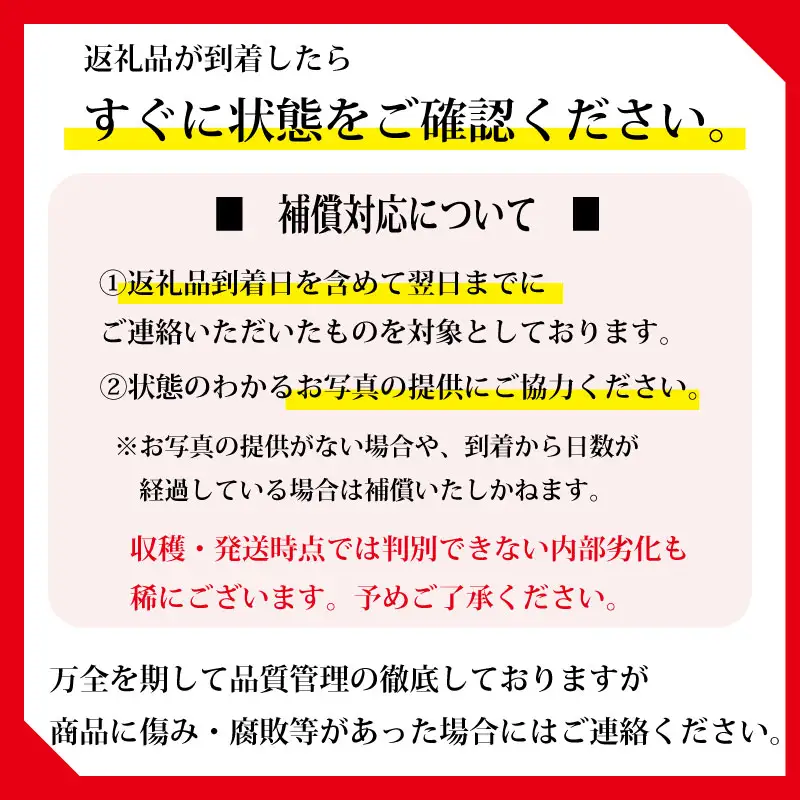 【先行予約】 すいか 2Lサイズ 4個入  なつここあ 牧之原市 静岡県 福代農園