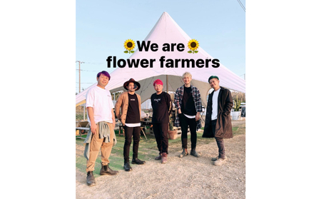 【SUNSET FARM OKINAWA】オーガニックバタフライピー(10g入り)✕5袋