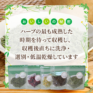 熊本ハーブ園レモングラス産 農薬不使用シングルハーブ小袋5袋セット _U42-0016
