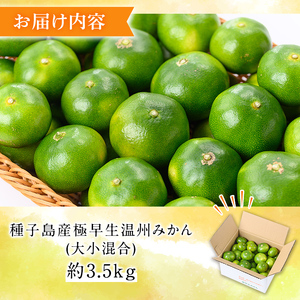 n132 ＜先行予約＞ 極早生 温州みかん 約3.5kg サイズ大小混合 鹿児島 種子島 蜜柑 ミカン 【提果樹園】