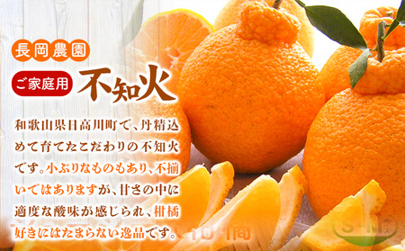 家庭用 しらぬい 10kg 不知火