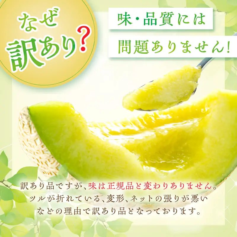 【メロン】訳あり 砂丘メロン 1玉 | 2026年