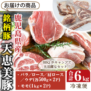 鹿児島県産 天恵美豚 BBQ ブロック セット 豚バラ ロース 肩ロース モモ ウデ 豚肉 (計6kg) 【アグリおおすみ】D28-v01
