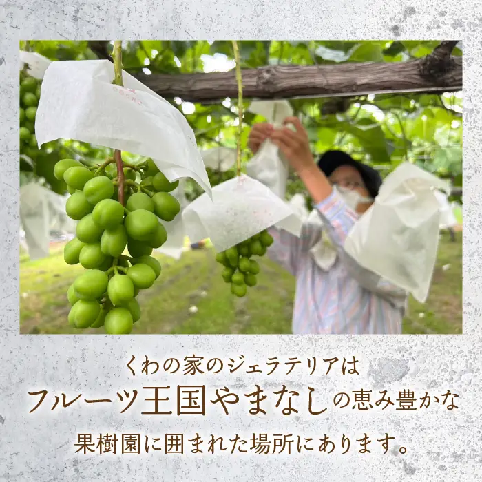山梨のおいしさまるっと！ジェラート（6種セット）桃・ぶどう・いちごミルク・ミルク・いちじく・ころ柿 201-001