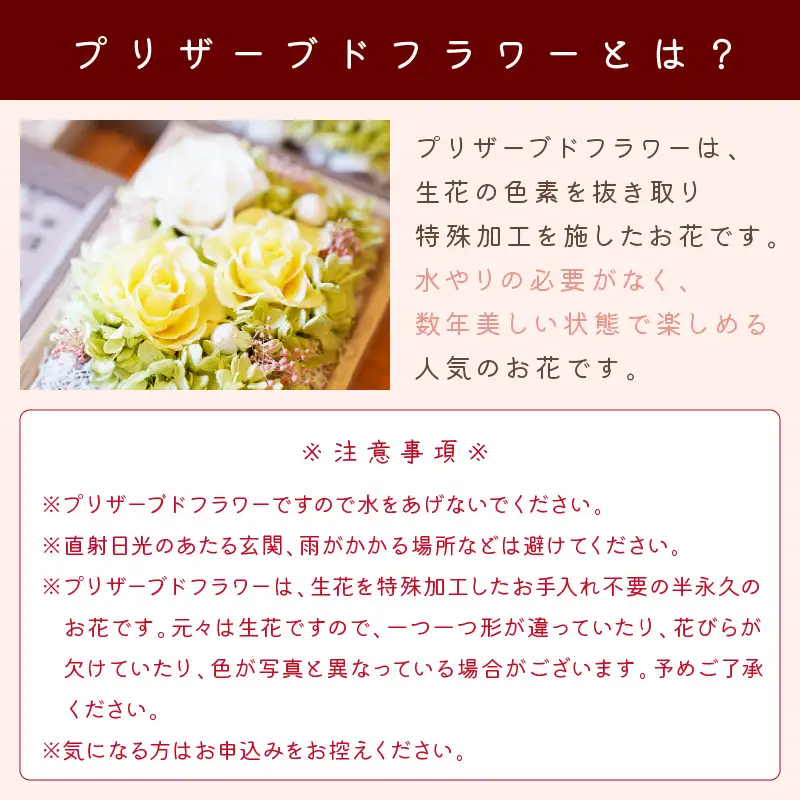 ノーブルティニー プリザーブドフラワーアレンジ【023D-010】