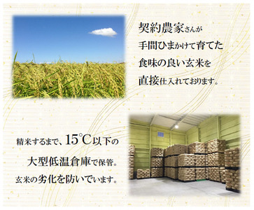 【令和7年産】栃木県産こしひかり10kg（精米・5kg×2袋）　※離島への配送不可
