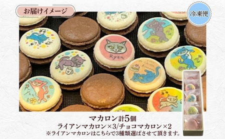 わんぱく 愛猫 ライアン かわいい 美味しい マカロン
