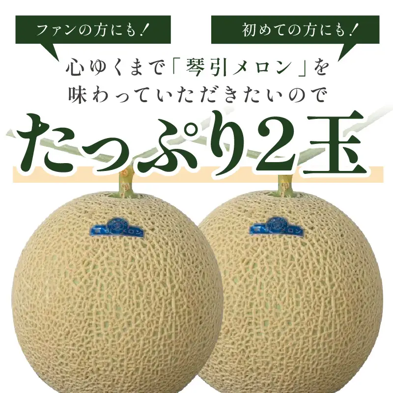 【2026年6月下旬-発送】 琴引メロン LA 2玉 京のブランドメロン