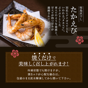 桜島灰干し 5種詰合せ K178-001 魚 冷凍