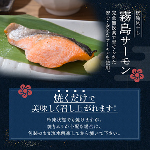 桜島灰干し 5種詰合せ【特選】 K178-002 魚 冷凍