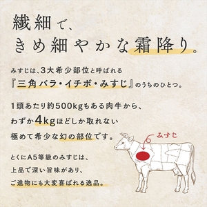 【 定期便 】 3ヶ月 黒毛和牛 A5等級 スライス 3kg 500g×6 スライス