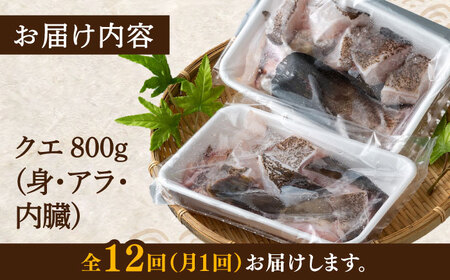【全12回定期便】幻の魚 クエ 鍋 セット 800g [WAD034] ちり鍋 アラくえ クエ 希少 クエ鍋