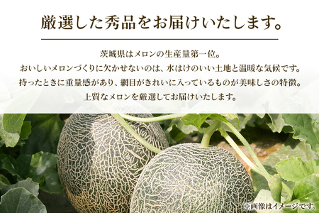 【数量限定・先行予約】 おみたまレノンメロン 赤肉 約5kg 4玉～5玉 秀品 【7月11日まで受付・6月以降順次発送予定】 52-A