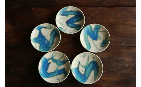 【志陶房】プレート12　5枚セット