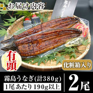 A5-034-RZ ＜冷蔵でお届け＞ 特別サイズ！霧島産うなぎ蒲焼き計380g以上(190g超×2尾)【田代水産】霧島市 国産 鹿児島県産 うなぎ 鰻 ウナギ 高級 蒲焼き 蒲焼 かばやき タレ