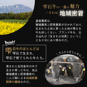 国産 最高級 黒毛和牛 雫石牛 上カルビ 500g 【九戸屋肉店】 牛 肉 和牛 いわて牛 岩手牛 高級 牛肉 Ａ4 ビーフ カルビ かるび 牛カルビ 500グラム 霜降り 霜降り肉 人気 焼き肉 焼肉 やきにく BBQ バーベキュー 炒め物 おすすめ 贈り物 プレゼント お取り寄せ