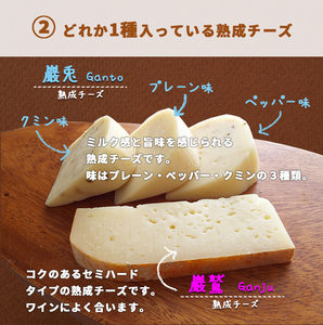 雫石チーズ工房 ふるさと納税 セット【5種】 チーズ 乳製品 ストリング ストリングチーズ さけるチーズ フレッシュチーズ スカモルツァ 焼けるチーズ 焼くチーズ 味噌漬け みそ漬け 熟成 熟成チーズ 手づくり 手作り おつまみ おやつ トッピング 人気 プレゼント ギフト プチギフト 贈り物 おすすめ